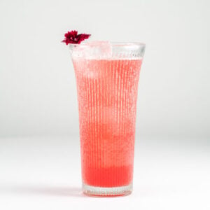 Hibiscus Punch