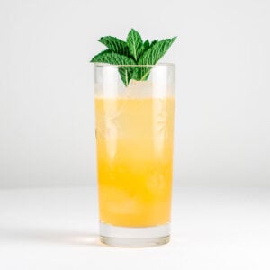 Passion Fruit Mojito