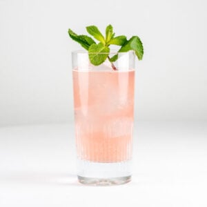 Watermelon Mojito