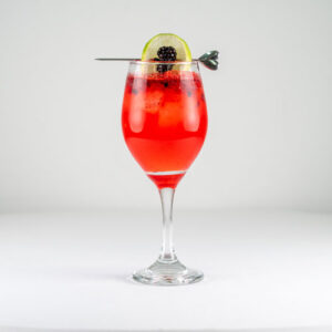 Berry Gin & Tonic