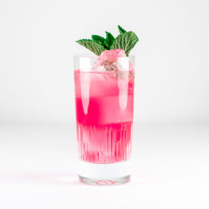 Dragon Fruit Mojito Mocktail