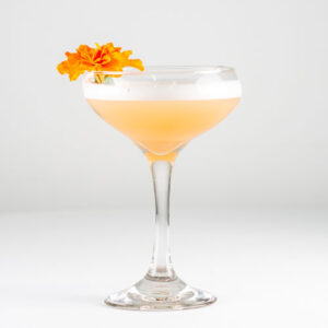 Gin Sour Mocktail / Non-Alcoholic Cocktail