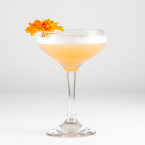 Gin-Sour.jpg - 180drinks