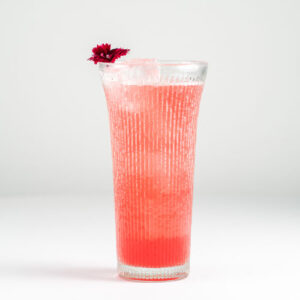 Hibiscus Punch Mocktail / Non-Alcoholic Cocktail