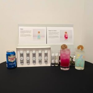 Mojito Cocktail Kit Gift Set Box