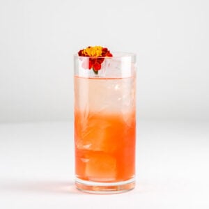 Planters Punch Mocktail / Non-Alcoholic Cocktail