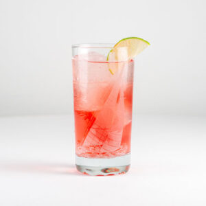 Sea Breeze Mocktail