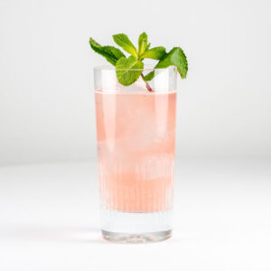 Watermelon Mojito Mocktail / Non-Alcoholic Cocktail